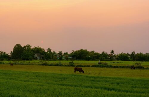 G7d34421bf0cbcc9efbb981830c686a45dfe342d2064b6aae8e6251e4808ee4ac55052d74f89c12be3b136c96ee10df46d5945c014c9438d7925ad2764d8bae50 640