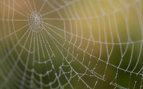 Image walfordwebforums.co.uk 2490 1746261369406